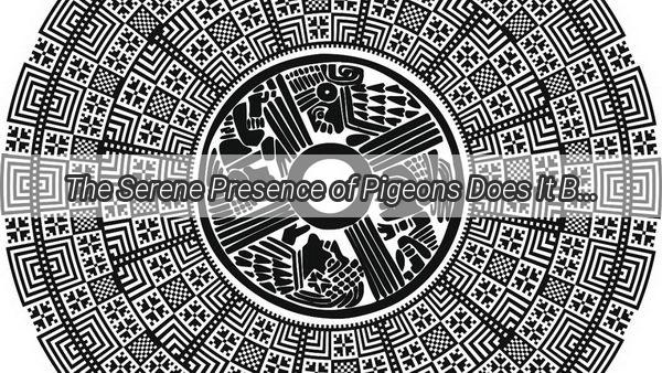 The Serene Presence of Pigeons Does It Bring Good Feng Shui to Your Home